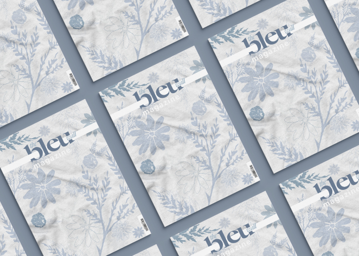 The Bleu Wall Main Image 4